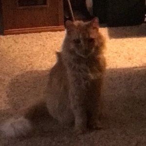 Meet your Posher, Mary lou